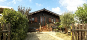 Chalet en bois dans 